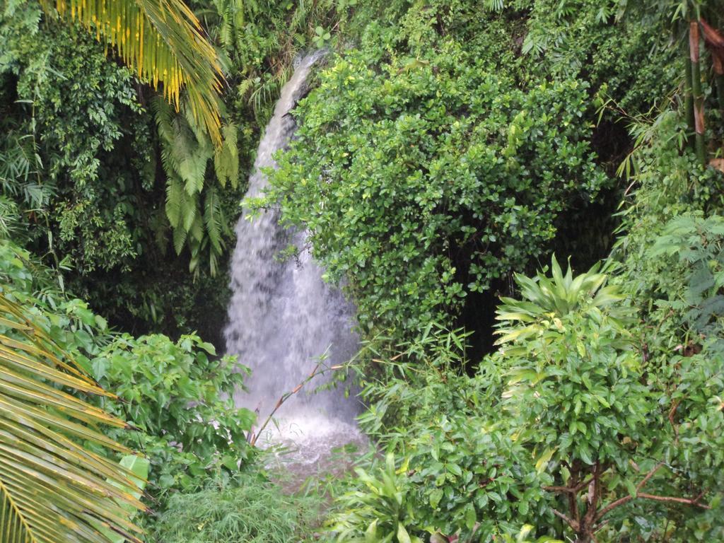 فندق White Lotus Oasis أوبود الغرفة الصورة